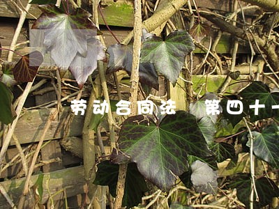 劳动合同法 第四十一款 劳动合同法 第四十一款